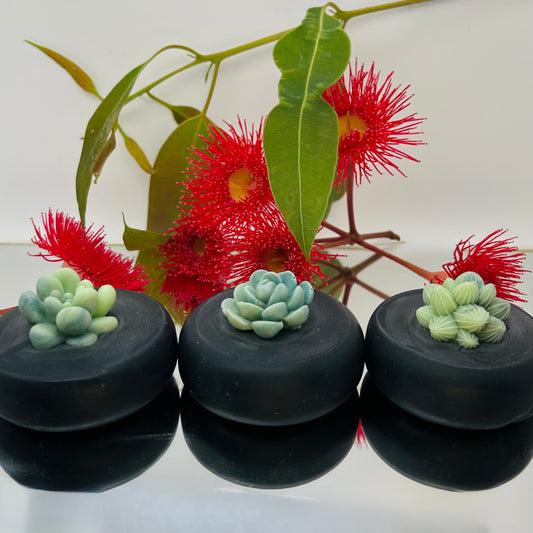 3 round charcoal base and green succulent soaps and gum flowers in background